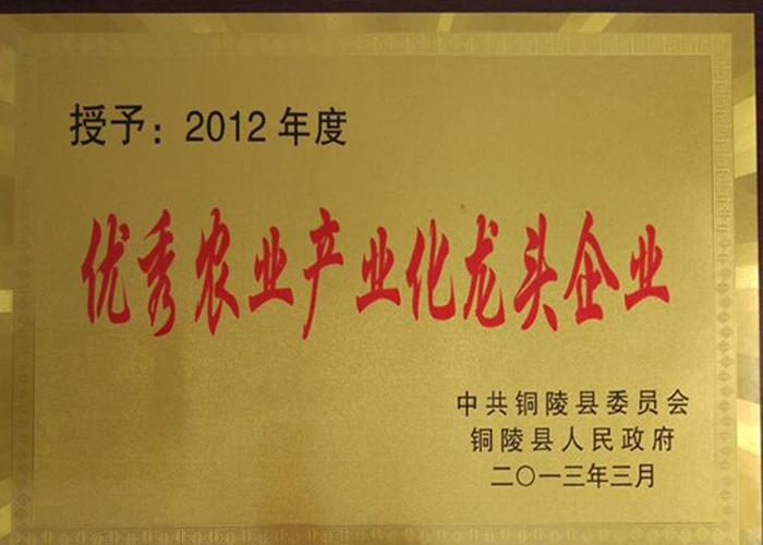 優(yōu)秀農(nóng)業(yè)產(chǎn)業(yè)化企業(yè)